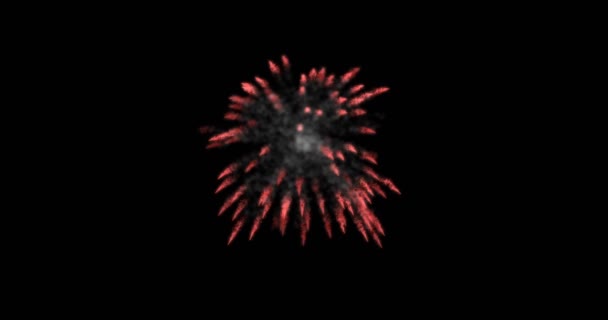 Animation modern fireworks background. — Stock Video
