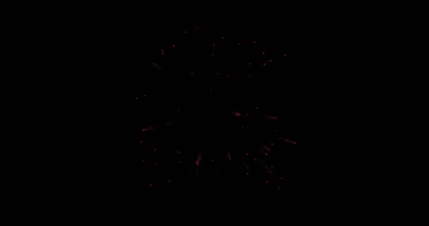 Animação fogos de artifício modernos fundo — Vídeo de Stock