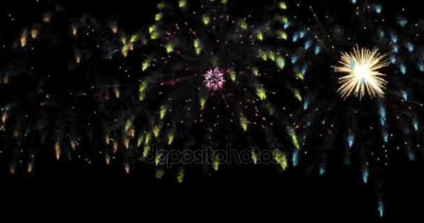 Animação fogos de artifício modernos fundo . — Vídeo de Stock