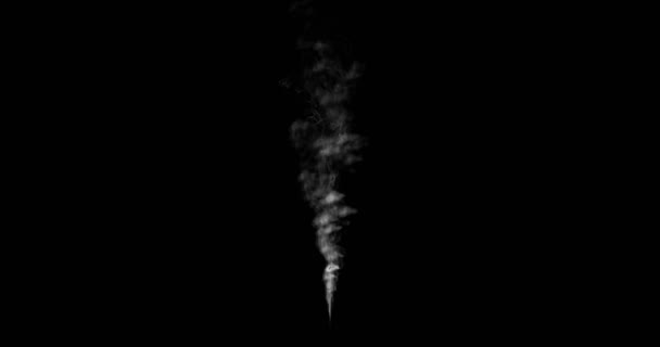 黑色的烟雾或蒸汽循环云 — 图库视频影像