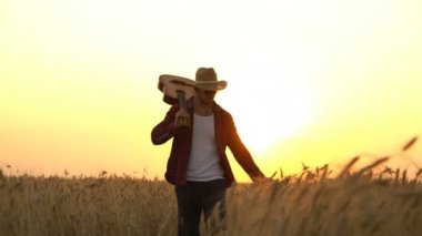 genç adam güneşin ışınları altın buğday alanında gitar ile yürür..