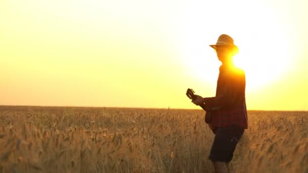 Joven camina por el campo de trigo dorado en los rayos de la puesta de sol con la guitarra . — Vídeo de stock