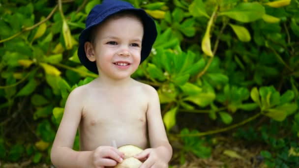 Αγόρι δύο ετών τραγουδάει χυμός καρύδας στην παραλία. — Αρχείο Βίντεο
