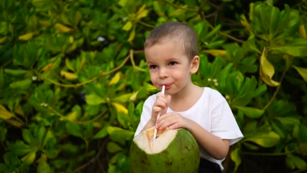 二歳の男の子がビーチでココナッツ ジュースを歌う. — ストック動画