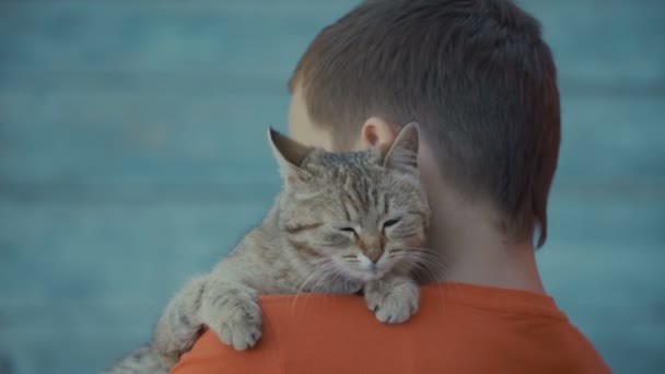 Молодий хлопець погладжує кота . — стокове відео