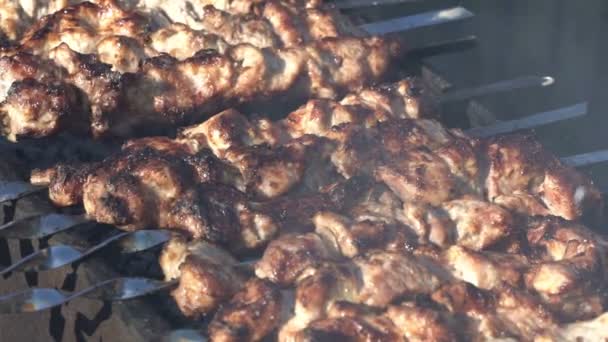 Koken shish kebab op de kolen. — Stockvideo
