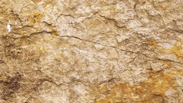 Images mur de pierre rétro texture de fond . — Video