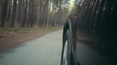 Autumn Country Road 'da araba sürüyor. düşük açılı çekim