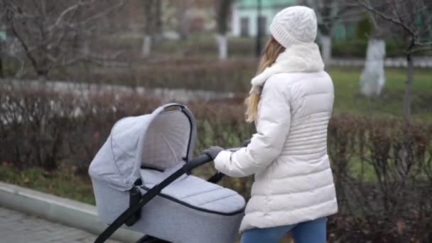 Jonge moeder loopt met een kind in een kinderwagen. Herfstseizoen — Stockvideo