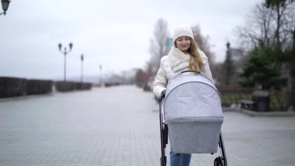 Jovem mãe andando com uma criança em carrinho de bebé. Temporada de outono — Vídeo de Stock