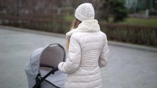 Madre joven caminando con un niño en cochecito. Temporada de otoño — Vídeos de Stock