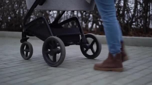 Giovane madre che cammina con un bambino in carrozzina. Stagione autunnale — Video Stock