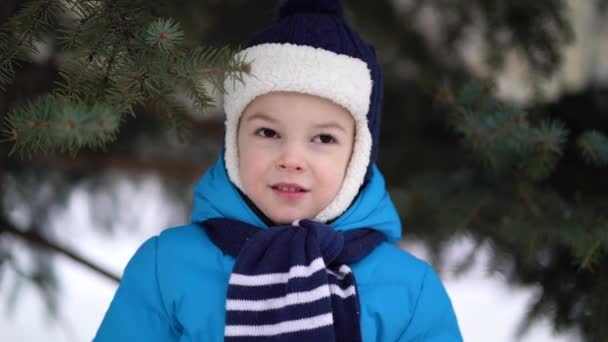 Милий чотирирічний портрет хлопчика на зимовому лісі — стокове відео