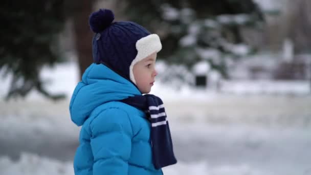 Милий чотирирічний хлопчик у блакитному зимовому одязі гуляє на засніженій вулиці — стокове відео