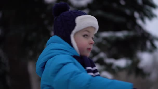 Cute four years old boy portrait on winter forest — 비디오