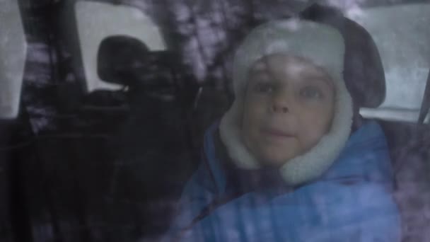 Garotinho cavalga no carro no banco de trás na floresta de inverno e olha pela janela — Vídeo de Stock