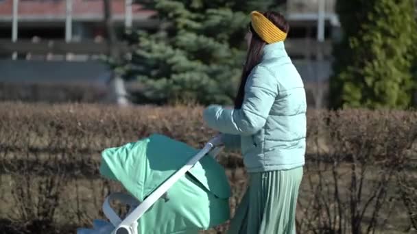 Женщина, идущая по парку с коляской — стоковое видео