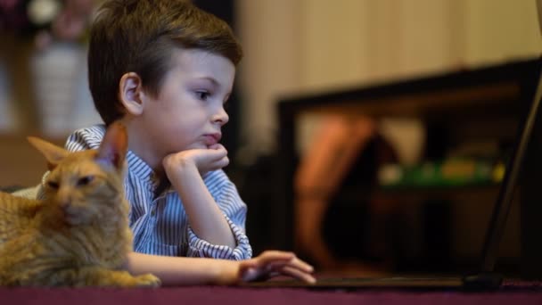 Funny child with kitten using a laptop at home. — Stock Video