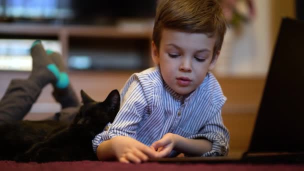 Divertido niño con gatito usando un portátil en casa . — Vídeos de Stock
