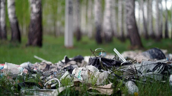 森林汚染。森の中にゴミを捨てる — ストック写真