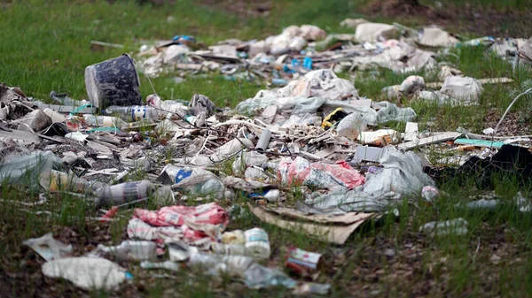 Forest Pollution. Dump Garbage in Woods — Stock Photo, Image