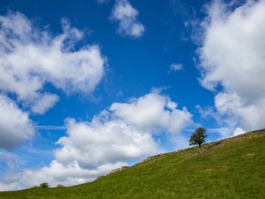 Yaz bulutlar ve mavi gökyüzü ile yeşil yamaca ağaç