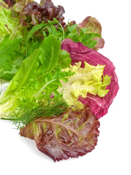 Verschiedene bunte Salate gemischt — Stock Photo, Image