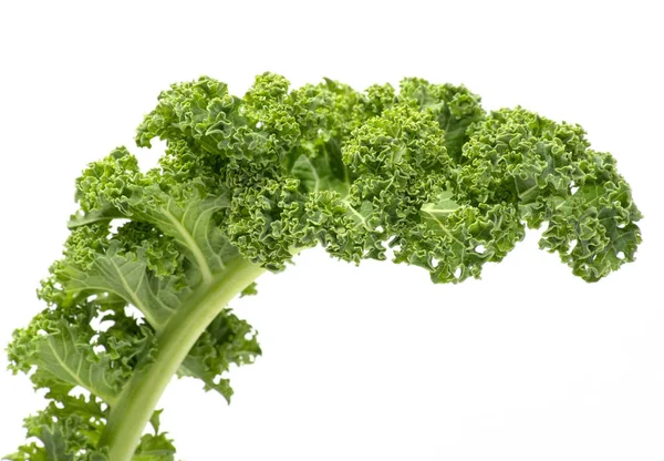 Gruenkohl , Kale, Green cabbage — Stock Photo, Image