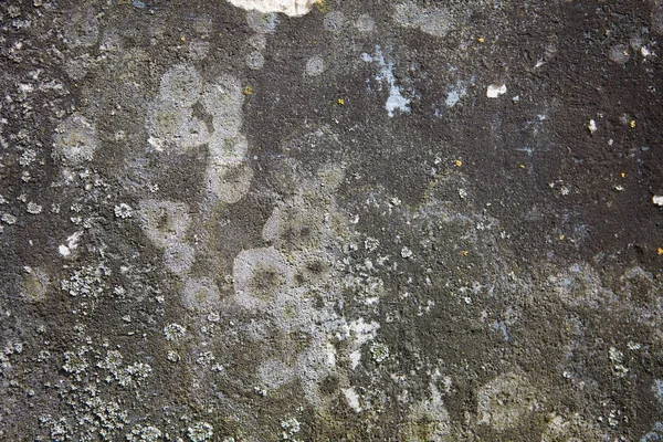 Fond de vieux mur de béton gris foncé texturé grunge avec de la mousse — Photo