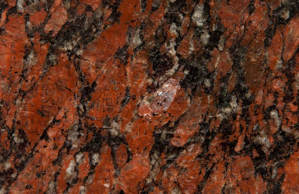 Background of polished grainy bright dark red granite with fine venous structure and additions of black and white colors — Stock Photo, Image