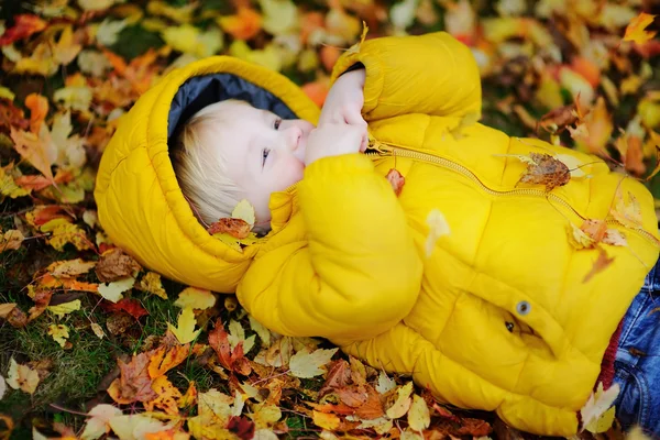 Ritratto di bambino carino felice con sfondo foglie autunnali — Foto Stock