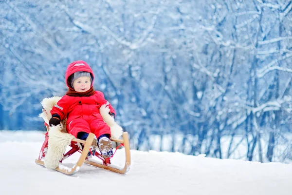 Menino desfrutando de um passeio de trenó — Fotografia de Stock