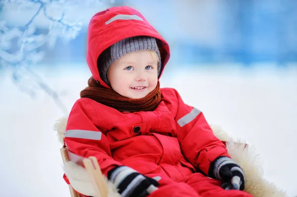 Ładny mały chłopiec cieszyć jazdą saniami — Zdjęcie stockowe