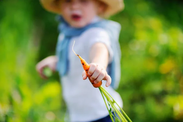Niño jugando en el jardín doméstico en el día de verano — Foto de Stock