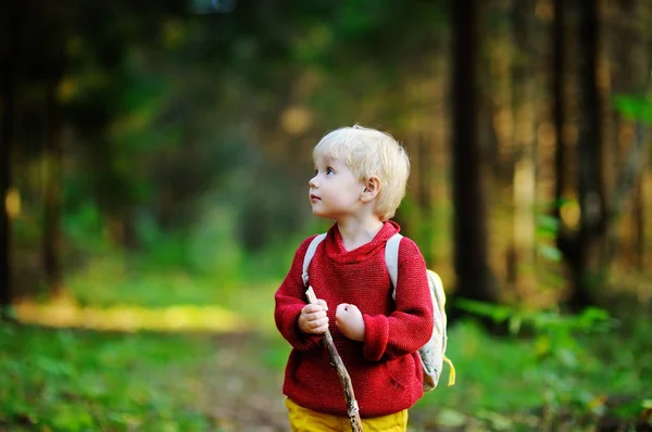 Portret van kleine jongen lopen tijdens de activiteiten van het wandelen in het bos — Stockfoto