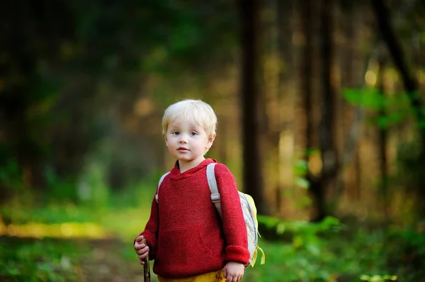 Ritratto di bambino che cammina durante le attività escursionistiche nella foresta — Foto Stock