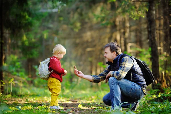 Otce a jeho syna chůzi během turistické činnosti v lese — Stock fotografie