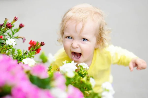 Divertido pelo rizado niña pequeña oliendo flores rojas en el día de primavera o verano — Foto de Stock