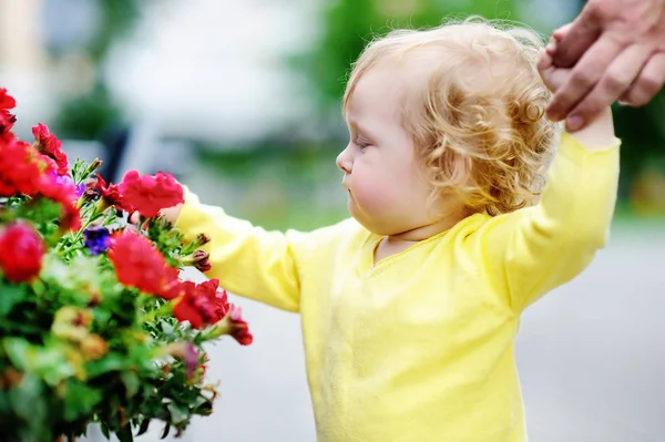 Kleinkind, das am Frühlings- oder Sommertag rote Blumen riecht — Stockfoto