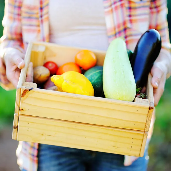 新鮮な有機野菜を使った木箱を持って庭師 — ストック写真