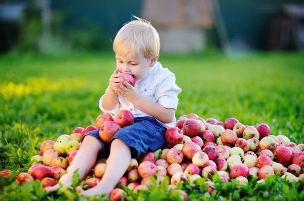 Lindo chico sentado en un montón de manzanas y comiendo manzana madura — Foto de Stock