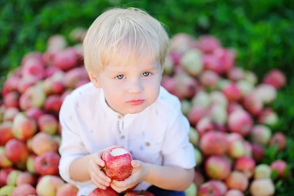 Lindo chico sentado en un montón de manzanas y comiendo manzana madura — Foto de Stock