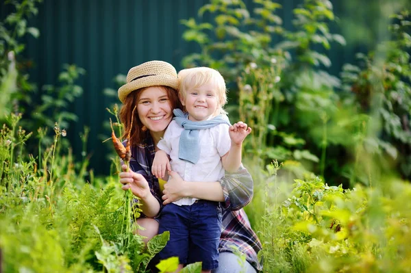 Krásná mladá žena a její rozkošný malý syn těší sklizeň — Stock fotografie