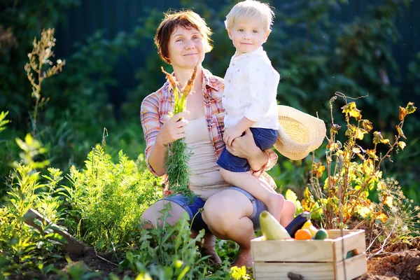 Vrouw en haar schattige kleine kleinzoon genieten van oogst — Stockfoto