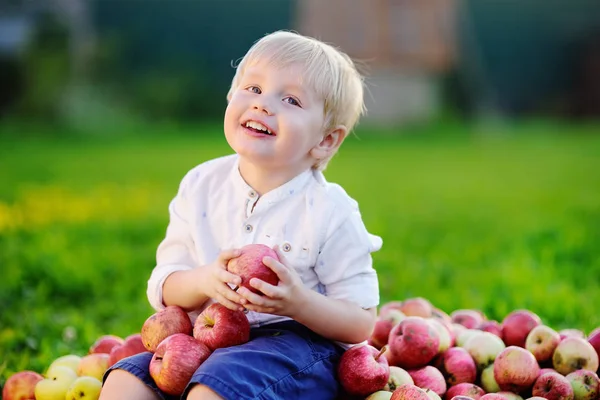 Lindo chico sentado en un montón de manzanas y comiendo manzana madura — Foto de Stock