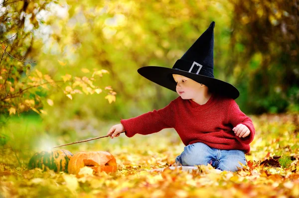Bambino ragazzo in cappello a punta giocare con la bacchetta magica all'aperto — Foto Stock
