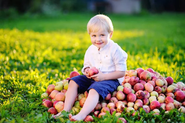 Lindo niño comiendo manzana madura en el jardín — Foto de Stock