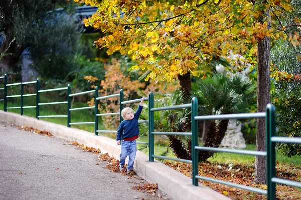 Netter kleiner Junge spaziert an einem schönen Herbsttag im Park — Stockfoto