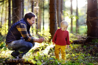 Baba ve küçük oğlu batımında ormanda yürüyüş etkinlikleri sırasında yürüyüş