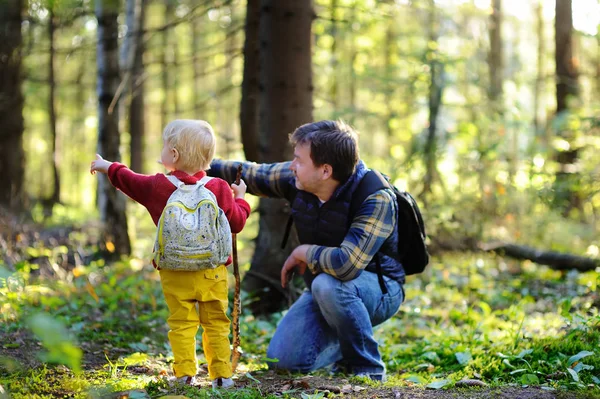 Батько і його маленький син ходять під час походів у лісі на заході сонця — стокове фото